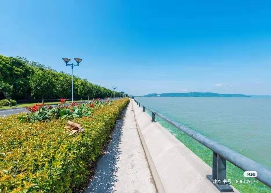 無(wú)錫周邊徒步線路 仁眾推薦|馬山太湖徒步